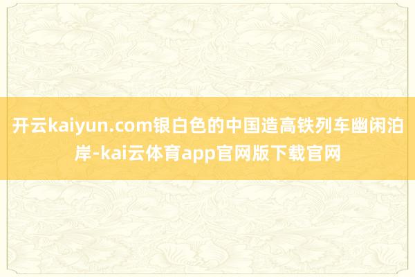 开云kaiyun.com银白色的中国造高铁列车幽闲泊岸-kai云体育app官网版下载官网