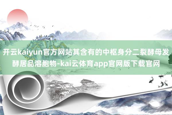 开云kaiyun官方网站其含有的中枢身分二裂酵母发酵居品溶胞物-kai云体育app官网版下载官网