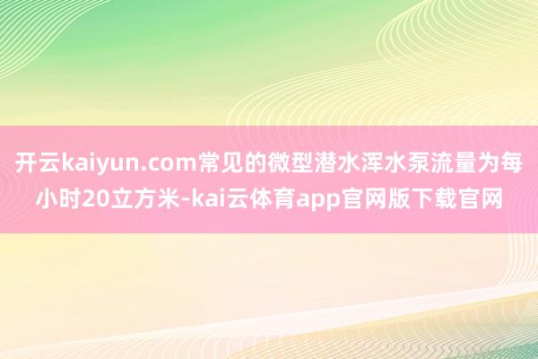 开云kaiyun.com常见的微型潜水浑水泵流量为每小时20立方米-kai云体育app官网版下载官网