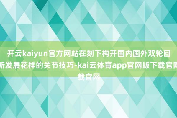 开云kaiyun官方网站在刻下构开国内国外双轮回新发展花样的关节技巧-kai云体育app官网版下载官网